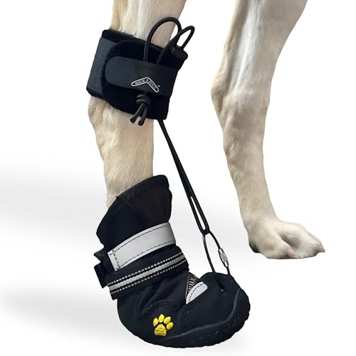 Best Dog Boots for Degenerative Myelopathy: Top Picks for Paw Protection