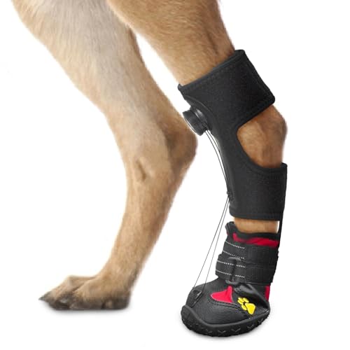 Best Dog Boots for Knuckling: Enhance Mobility and Comfort for Pets
