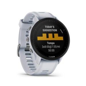 Garmin 955 Vs 265