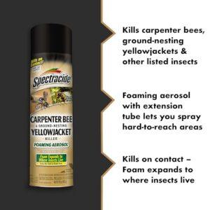 Best Bee Spray For Yellow Jackets
