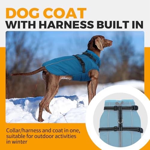 Best Dog Life Jacket For Great Dane