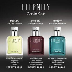 Calvin Klein Eternity Cologne Review