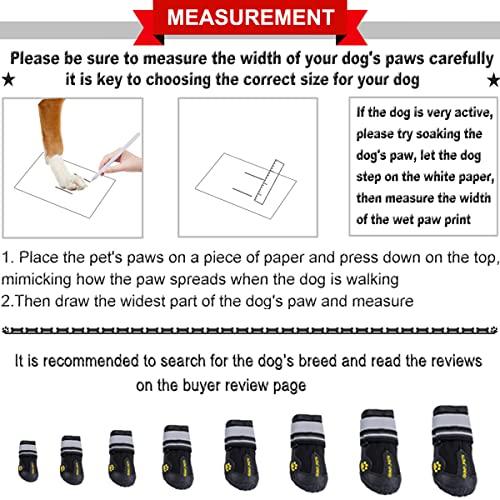 Best Dog Boots For Winter
