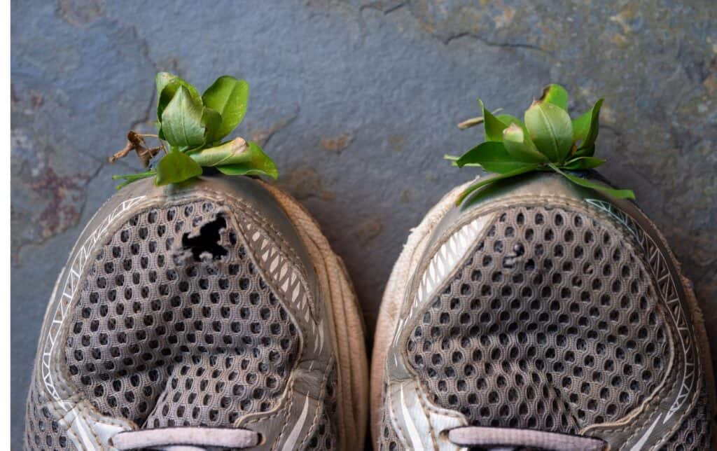 How Long Should A Pair Of Shoes Last