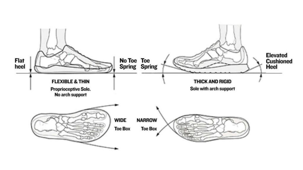 What Is Pronation In Shoes