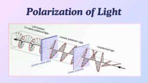 How Do Polarizing Sunglasses Work