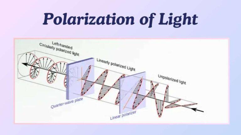 How Do Polarizing Sunglasses Work