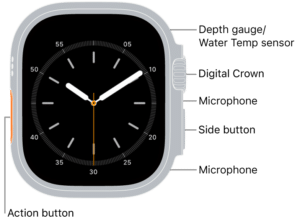 Do I Need A Separate Line For Apple Watch